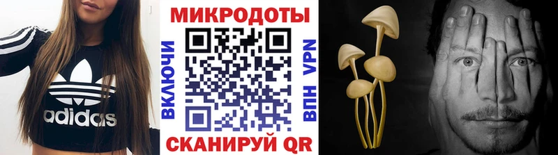 Псилоцибиновые грибы Magic Shrooms  где можно купить наркотик  Тюкалинск 